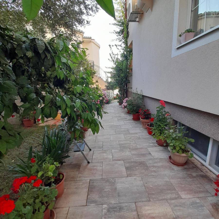 Apartments Filipovic บีโอกราดนาโมรู ภายนอก รูปภาพ