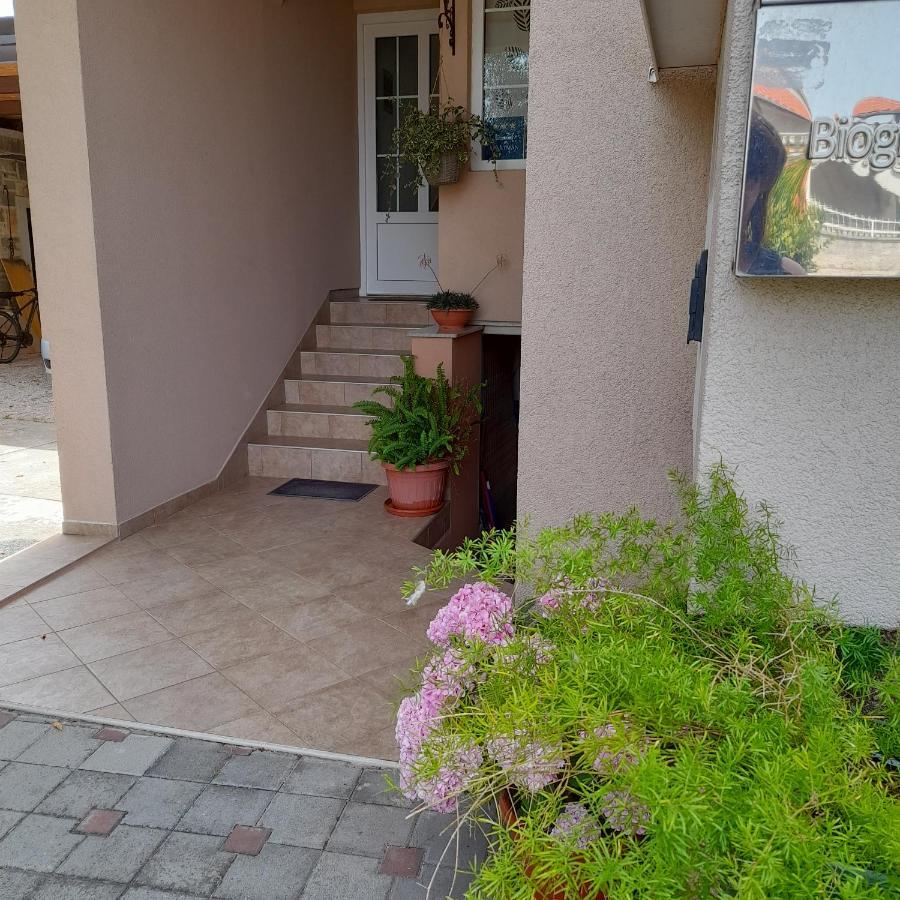 Apartments Filipovic บีโอกราดนาโมรู ภายนอก รูปภาพ