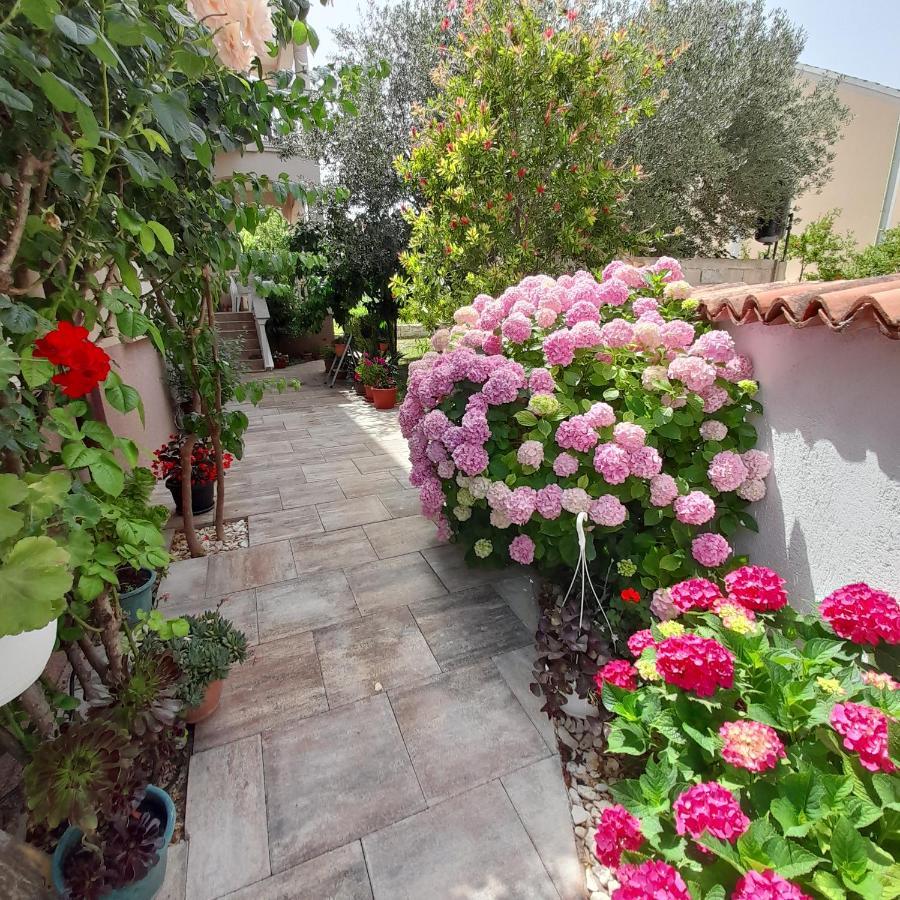 Apartments Filipovic บีโอกราดนาโมรู ภายนอก รูปภาพ