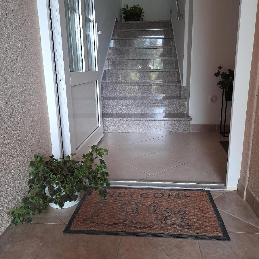 Apartments Filipovic บีโอกราดนาโมรู ภายนอก รูปภาพ